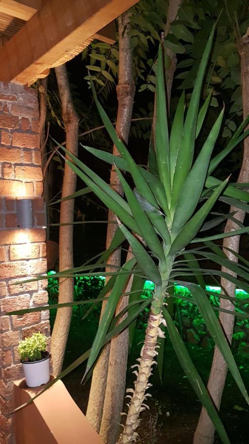 Vila Thailanda In Katakolo Pírgosz Kültér fotó